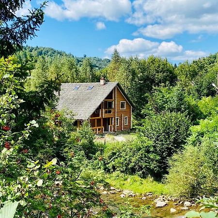 Mysynevyr - Будинок У Серці Карпат Exterior photo