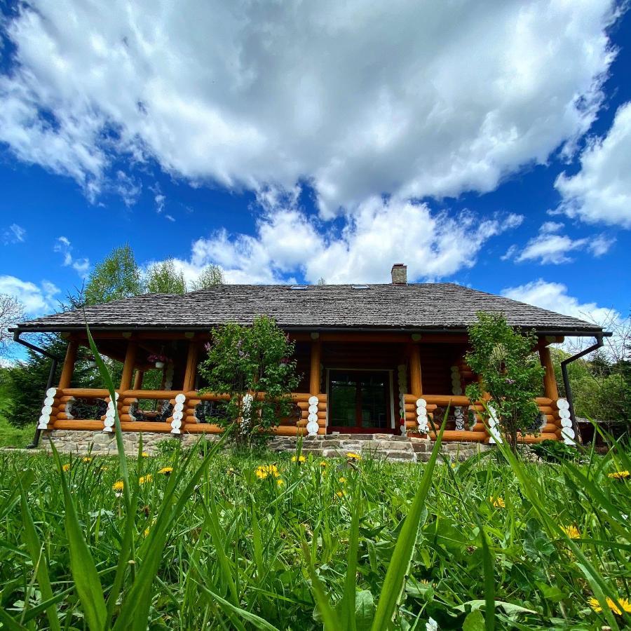 Mysynevyr - Будинок У Серці Карпат Exterior photo